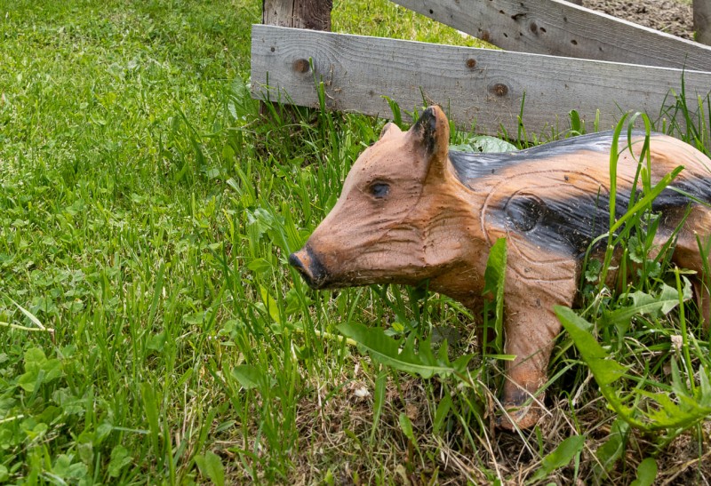 Fast lebensecht: Ein Wildschweinfrischling