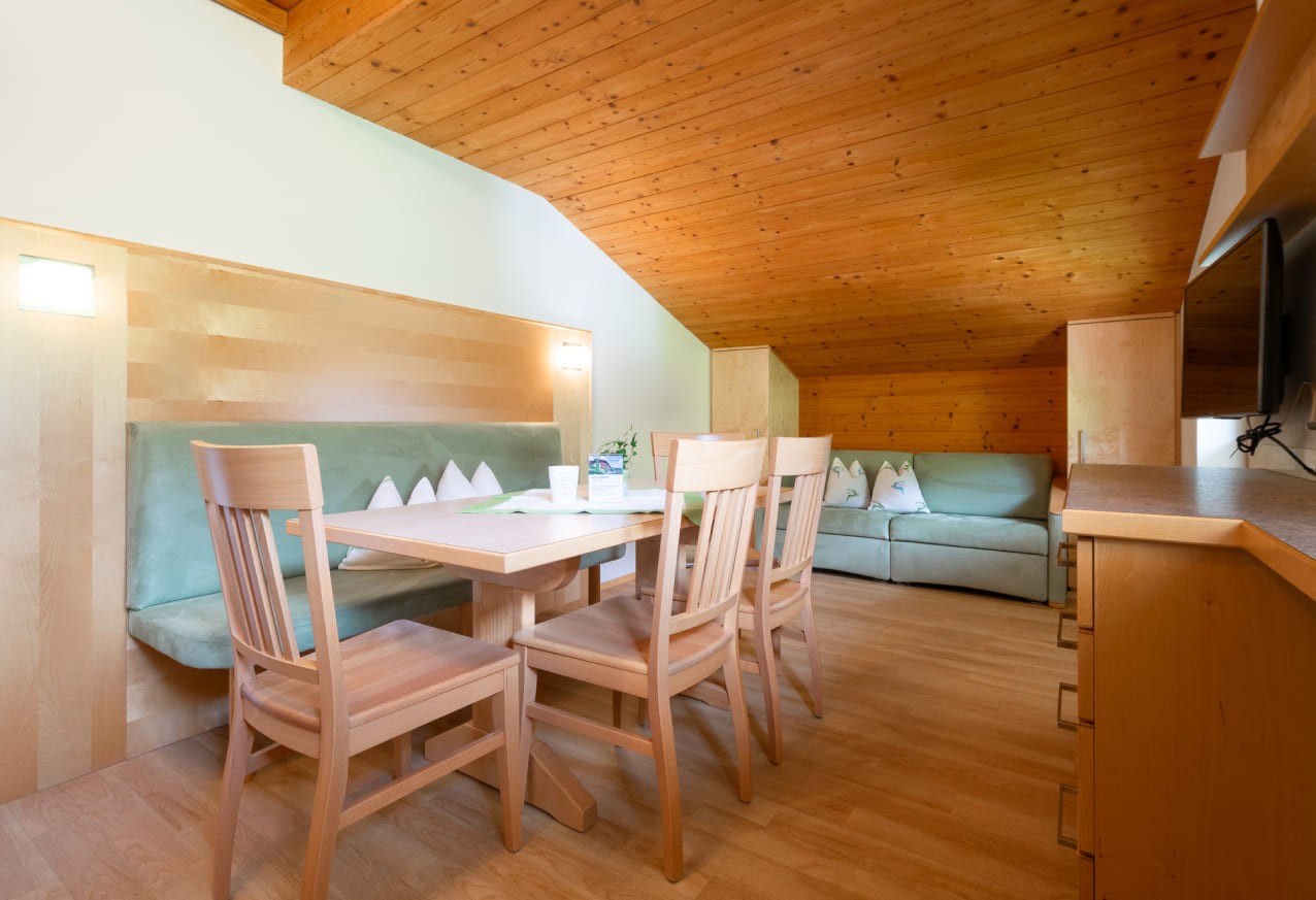 Wohnbereich mit Esstisch und Couch sowie TV