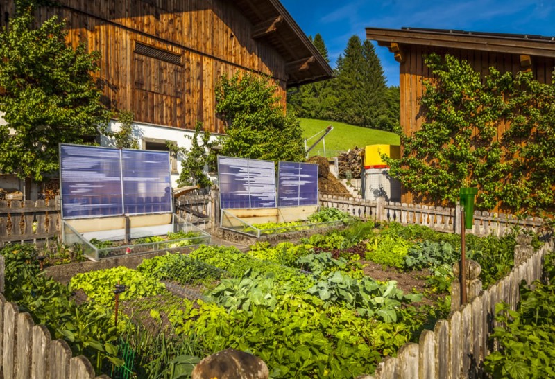 Gemüse- und Kräutergarten