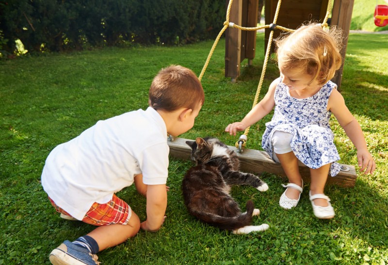 Unsere Katzen sind immer für Streicheleinheiten zu haben.