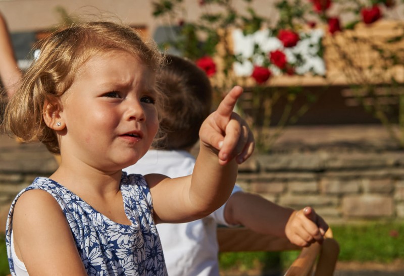 Die Kinder entdecken die Bauernhofwelt am Untersüßgut in Eben im Pongau