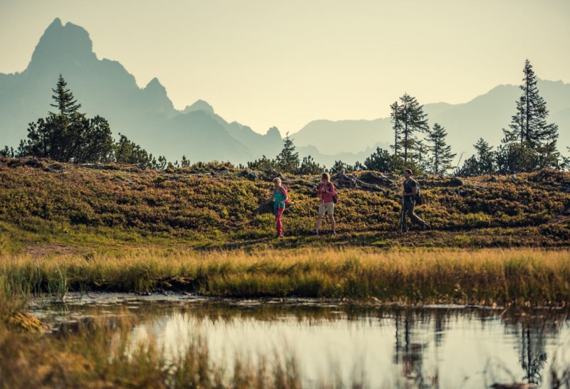 Die Schwarze Lacke am Gerzkopf Moor - im Hintergrund die Bischofsmütze © TVB Eben / Daniel Sobietzki