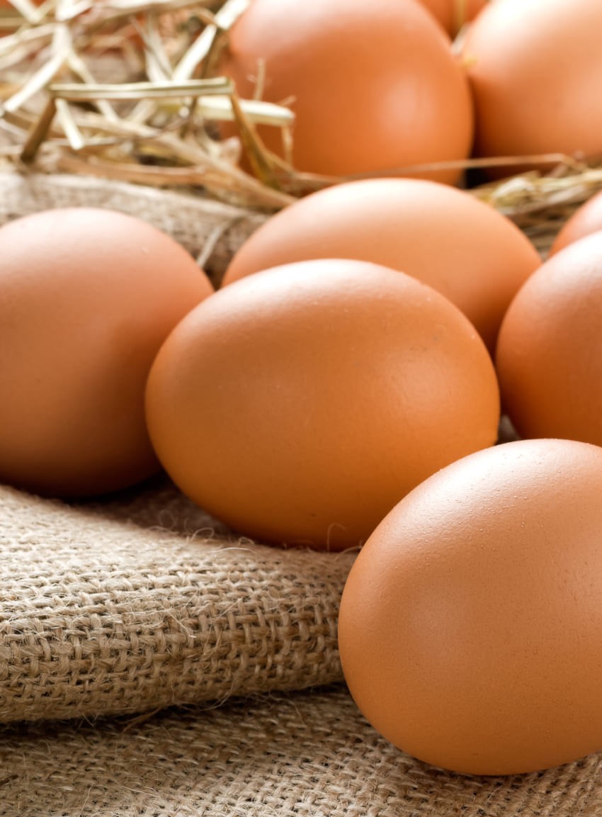 Eier vom Nachbarbauern