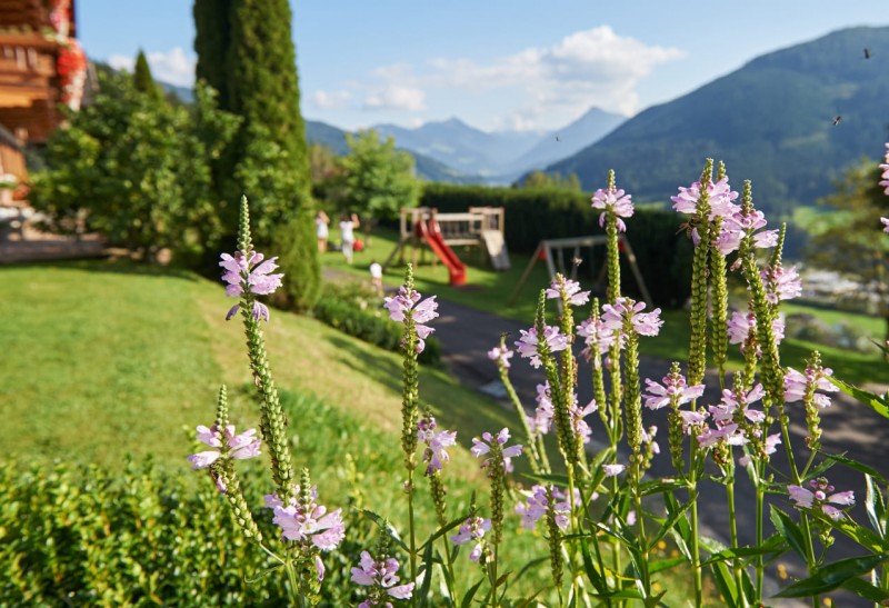 Der Garten mit Blumen und Spielplatz bei Sonnenschein am Untersüßgut