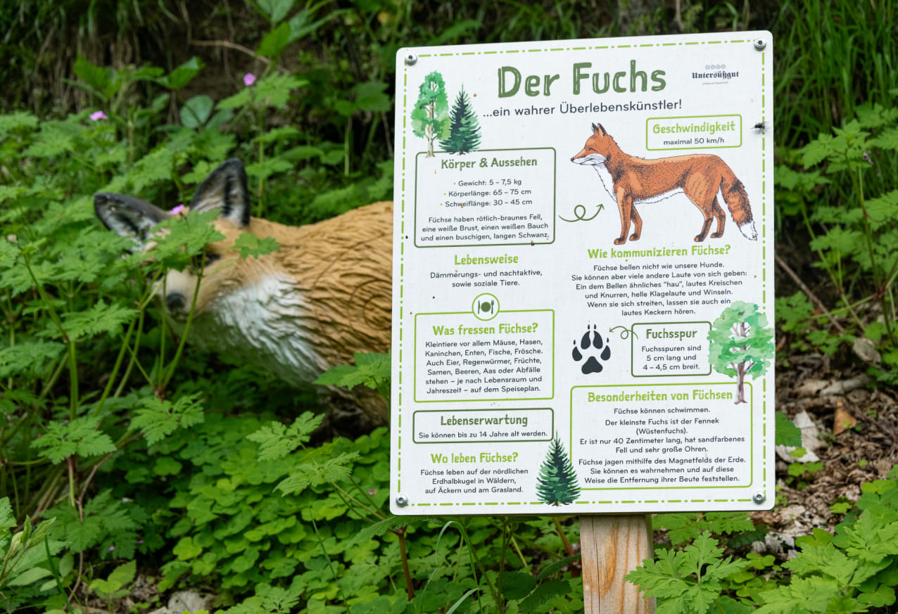 Abenteuerweg mit dem Schild "Fuchs"