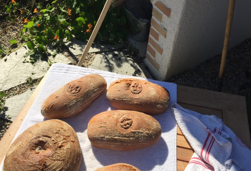 Das herrlich duftende Brot ist fertig.
