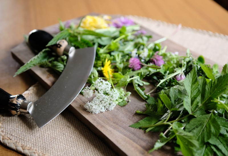 Kräuter © TVB Eben / O-MANS