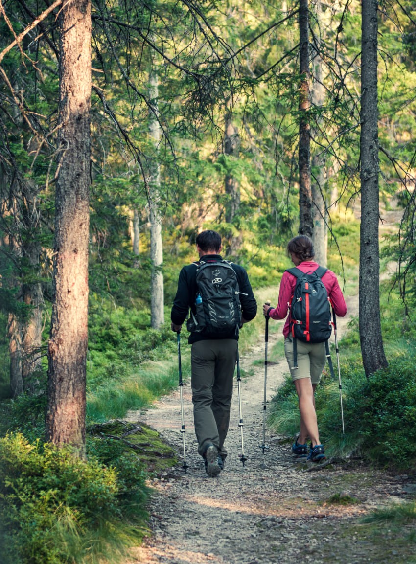 Wanderung © TVB Eben / Daniel Sobietzki