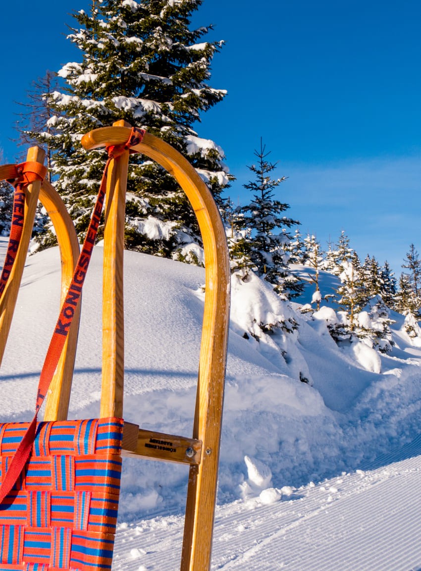 Rodeln Radstadt Königslehen © Christian Hochwimmer